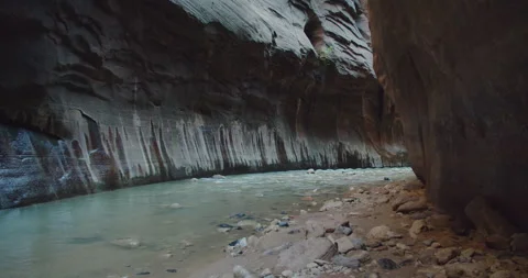 Section of the Wall Street area of the Narrows inside Zion National Park 動画素材 228848904