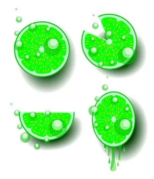 Sectional refreshing juicy lemon with pulp and bubbles of carbonated drink Stock Illustration