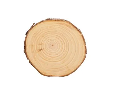 Sectional view of tree Stock Photos