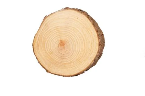 Sectional view of tree Stock Photos