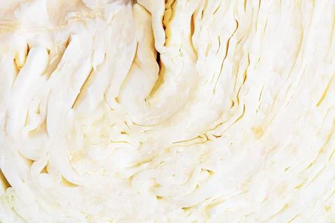 Sectional white cabbage. Stock Photos