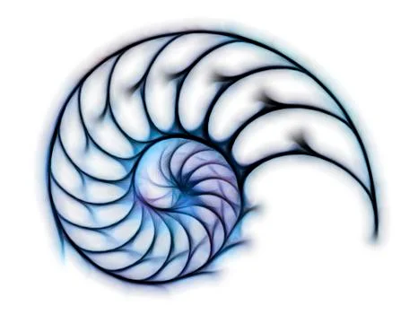 Sectioned shell of a nautilus, artwork Stock Illustration