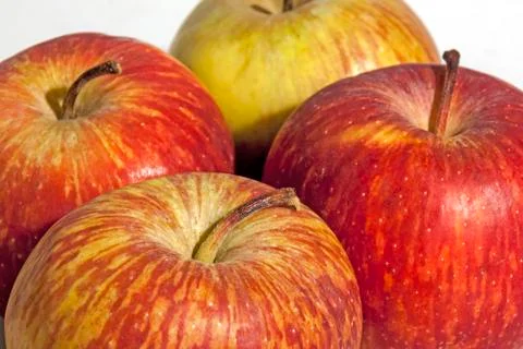 Sections of Four Fresh Red Apples Patterns and Textures Stock Photos