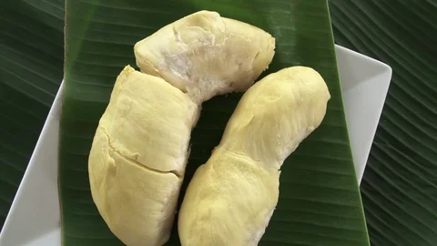 Sections of Fresh Raw Exotic Tropical Thai Fruit Durian (Durio) Rotating on Stock Footage 93293077