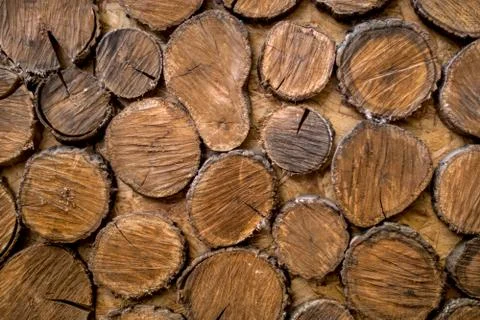 Sections of tree trunks. Wooden wall background Stock Photos