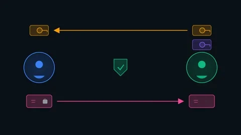 Secure Asymmetric Data Encryption Motion Graphic 動画素材 342788981