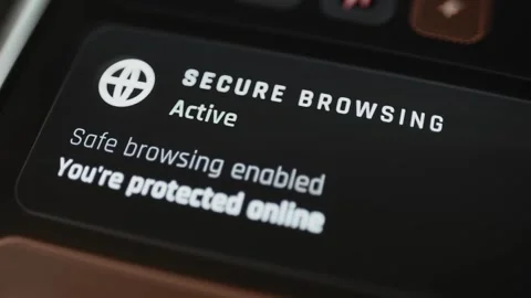 Secure browsing panel marked active with safe browsing enabled and online Stock Footage 342490128