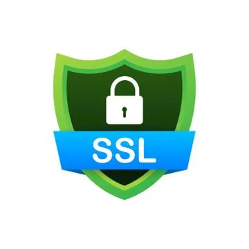 Secure connection icon vector illustration isolated on white background, flat 库存插图