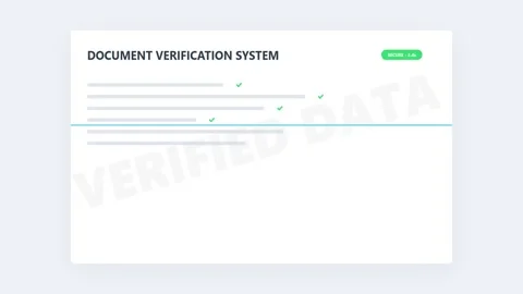 Secure Document Validation Dashboard with Verified Rows Stock Footage 341342814