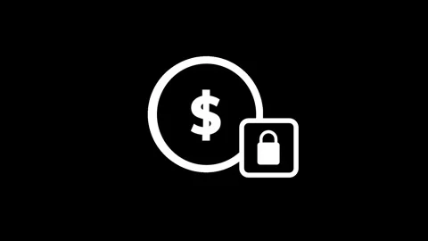 Secure Payments Stock Footage 335639789