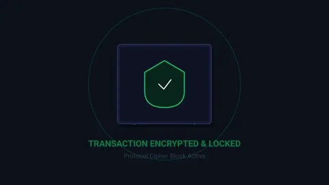 Secure Transaction Animation Scan to Locked Shield with Checkmark Stock-Footage 337547657