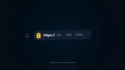Secure Website Connection Loading Animation with HTTPS Padlock Icon 動画素材 347691776