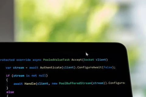 Security and Encryption related Source Code of an Open Source HTTP Webserv... Stock Photos