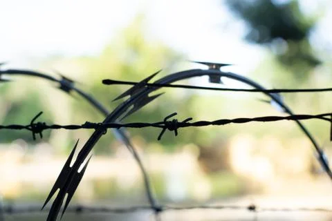 Security barbed wire Stock Photos