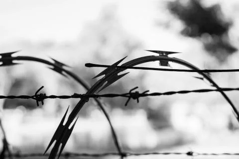 Security barbed wire Stock Photos