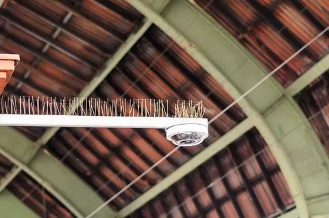 Security camera with bird spikes mounted on a building's roof Stock Photos