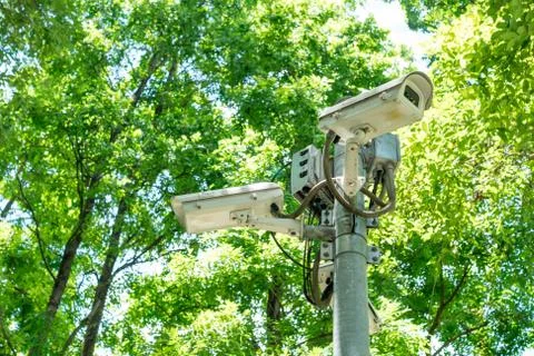 Security camera (CCTV) on green nature background Foto stock