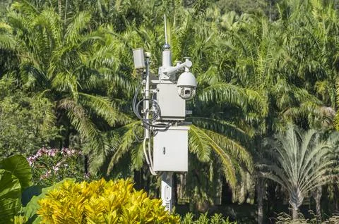 Security camera CCTV hangs in garden for surveillance Stock Photos