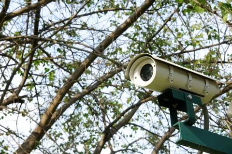 Security camera CCTV in park. Foto stock