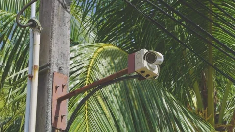 A security camera on a concrete pillar against a background of palm leaves Stock Footage 328582803