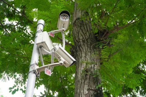 Security camera in garden on tree green nature background Stock Photos