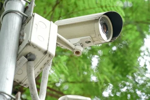 Security camera in garden on tree green nature background Stock Photos