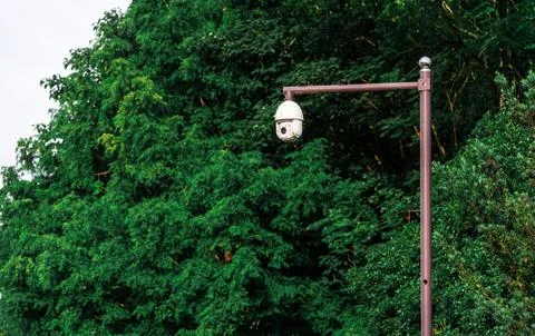 Security Camera in Greenery security camera surveillance outdoor scene green Stock-Fotos