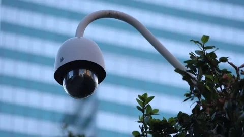 Security Camera Hangs Over Tree With Building Background Stock Footage 333935788