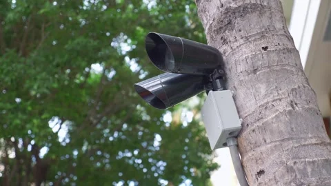 Security camera installed on a palm tree with a building facade in the back.. Stock Footage 279537011