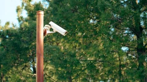 Security camera mounted on pole surrounded by green trees in outdoor setting Stock Photos