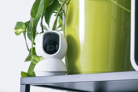 A security camera next to a green plant pot Stock Photos
