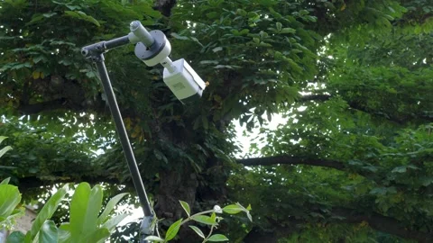 Security Camera peaking out over hedge Stock Footage 278972923