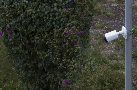 Security camera on the pillar guarding the garden. Stock Photos