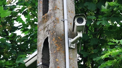 Security camera on post Stock Footage 51232891
