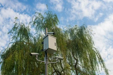 Security Camera System Pole Street Willow Tree Sky Clouds Stock Photos