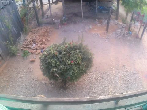 Security camera view of deserted yard. Stock Photos