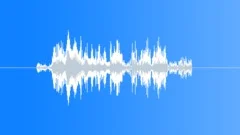 Security Check 1 Sound Effect