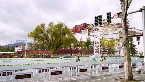 Security checkpoint queues for visitors entering the Potala Palace, Lhasa Stock Footage 327870838