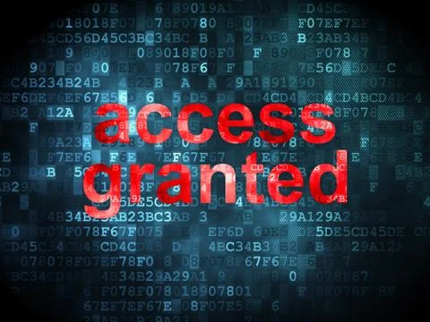 Security concept: Access Granted on digital background Stock Illustration