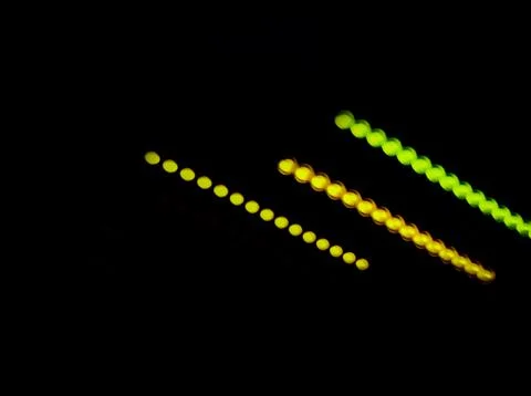 Security concept with blurred lights. Blurred defocused background 写真素材