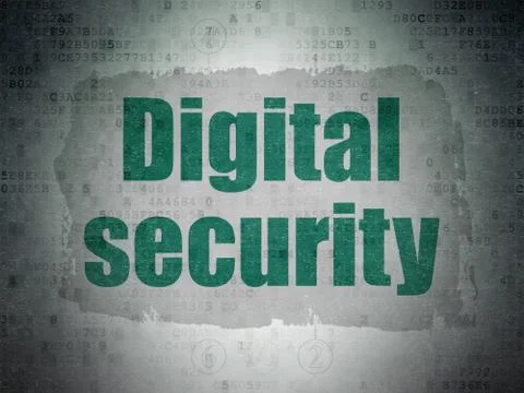 Security concept: Digital Security on Digital Data Paper background 스톡 일러스트