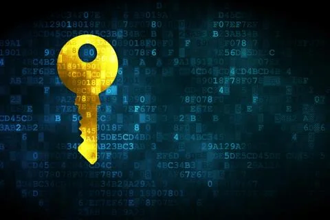 Security concept: Key on digital background Stock Illustration