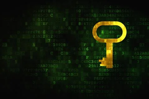 Security concept: Key on digital background Stock Illustration