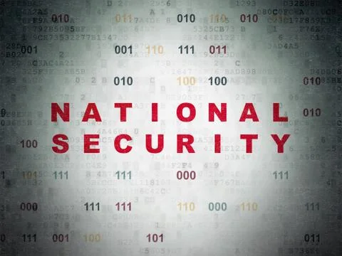 Security concept: National Security on Digital Data Paper background Illustrazione stock