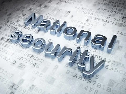 Security concept: Silver National Security on digital background Stock Illustration
