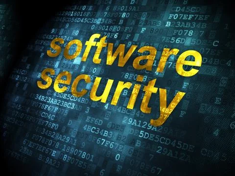 Security concept: Software Security on digital background Stock Illustration
