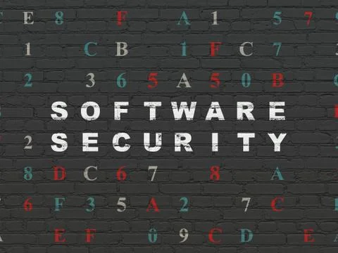 Security concept: Software Security on wall background Stock-Illustration