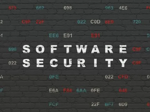 Security concept: Software Security on wall background Stock Illustration