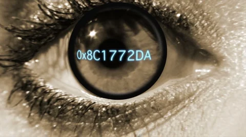 Security eye scan Stockbeeldmateriaal 2235465