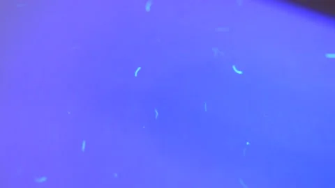 Security features on banking paper revealed by UV light showing markings Stock Footage 131684306